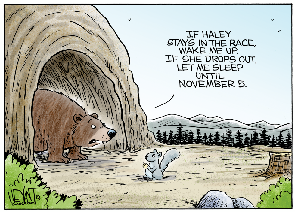 With Bear Cartoons