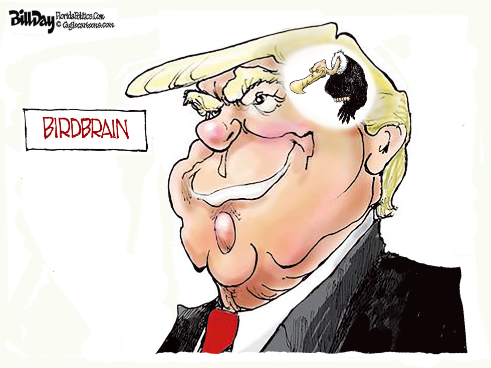 Trump Birdbrain