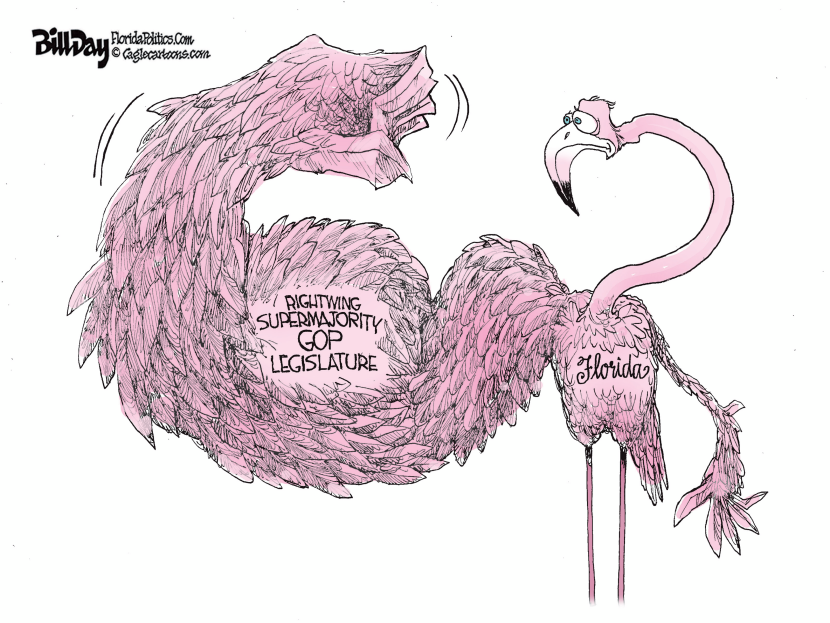 Rightwing Muscle