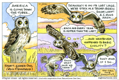 OPINIONATED OWL by Taylor Jones