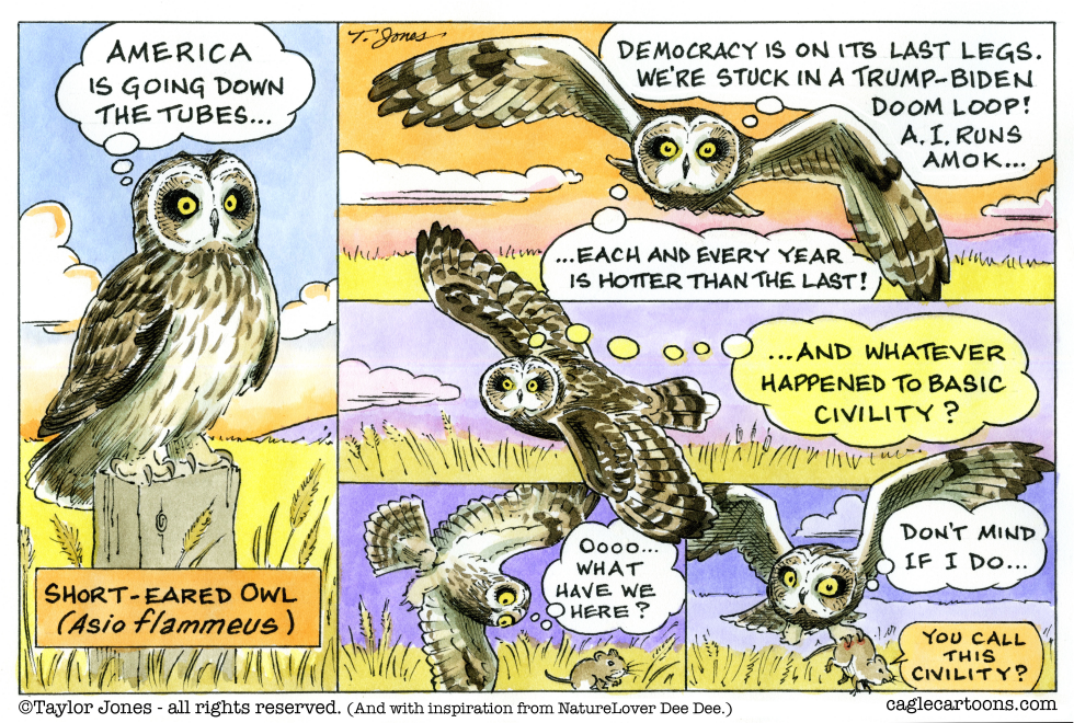 Opinionated Owl