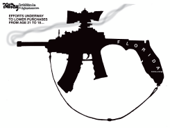 FLORIDA GUN CRAZY by Bill Day