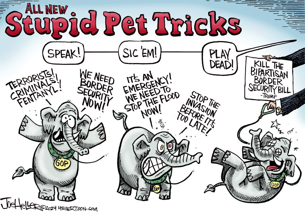 Stupid Pet Tricks