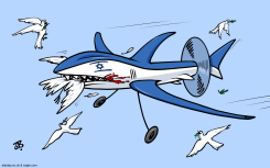 STATE OF WAR by Emad Hajjaj