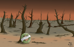FOREST FIRES by Plop and KanKr