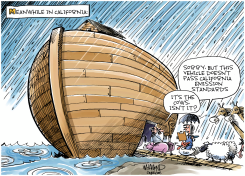 CALIFORNIA STREAMING by Dave Whamond