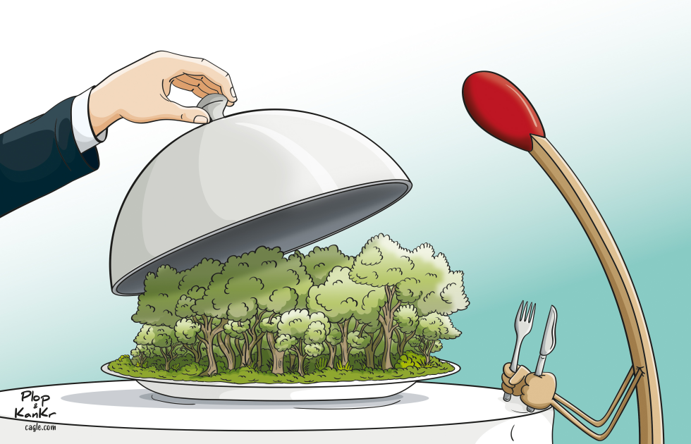 Forest fires