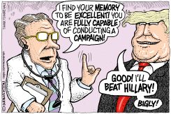 TRUMP MEMORY by Monte Wolverton