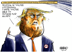 TRUMP THREATENS NATO ALLIES by Dave Whamond