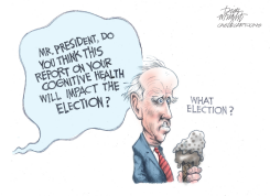  BIDEN MENTAL HEALTH by Dick Wright