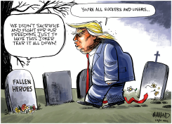 TRUMP MOCKS VETERANS by Dave Whamond