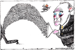 BIDEN'S BALLOTS by Randall Enos