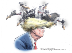 TRUMP AND COURTS by Dick Wright