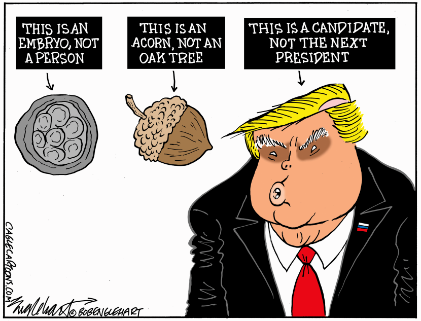 Candidate Trump