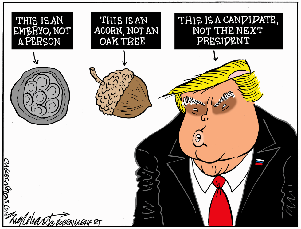 Candidate Trump