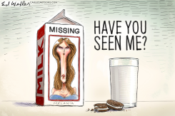 MELANIA MISSING MILK CARTON by Ed Wexler