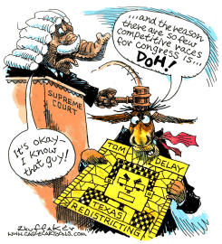 TEXAS REDISTRICTING-  by Sandy Huffaker