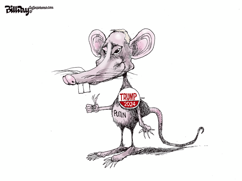 Propaganda Rat