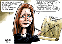 SCOTUS 14TH AMENDMENT RULING by Dave Whamond