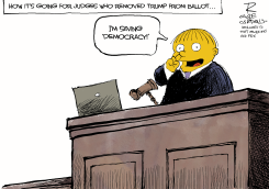 ACTIVIST JUDGES by Rivers