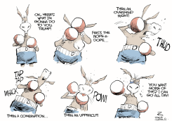 DEMOCRAT BOXER by Rivers