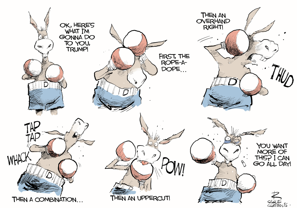 Democrat Boxer