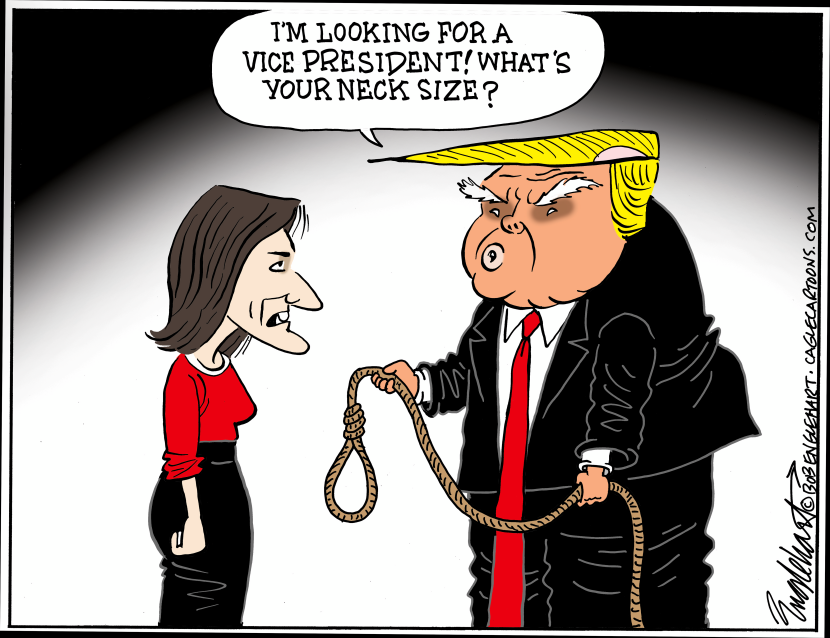 Trump Looking For VP