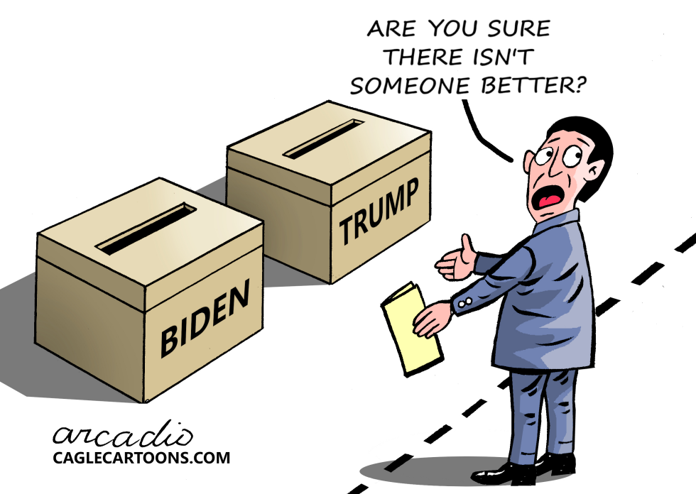 November 2024 elections.