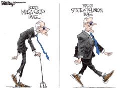 BIDEN IMAGE by Bill Day