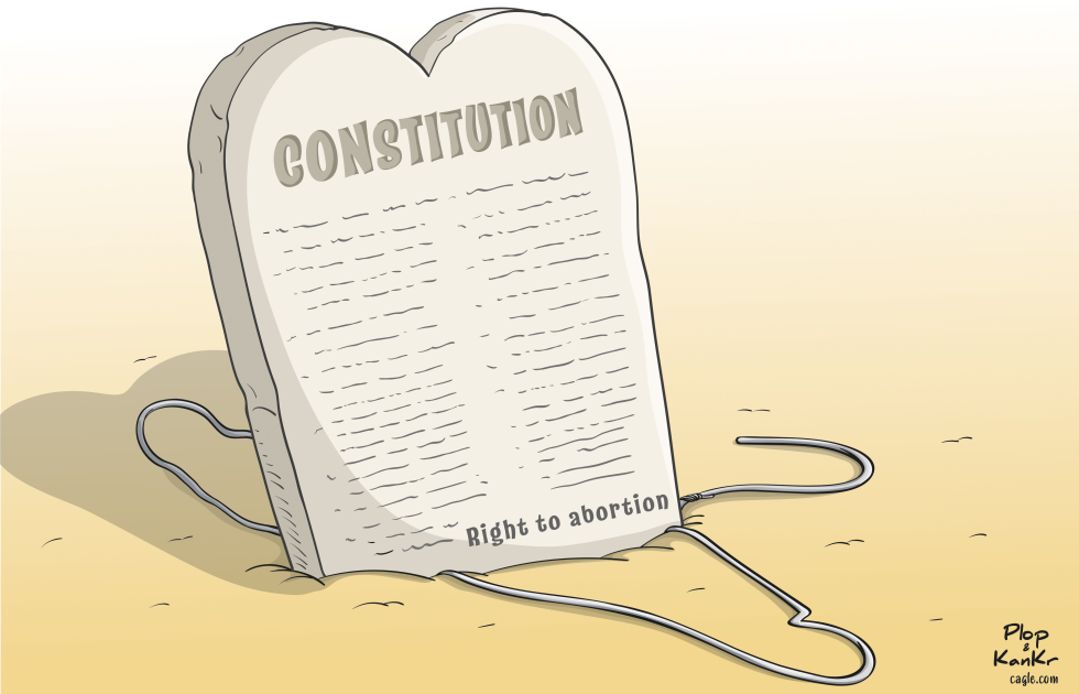 France: freedom of abortion in the Constitution