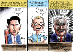 MEMORY PROBLEMS by Dave Whamond