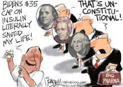 INSULIN CAP by Pat Bagley