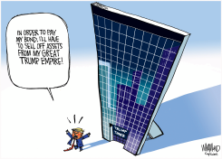 THE TRUMP FACADE by Dave Whamond