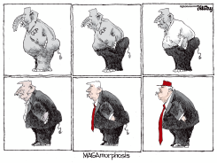 THE MAGAMORPHOSIS by Bill Day