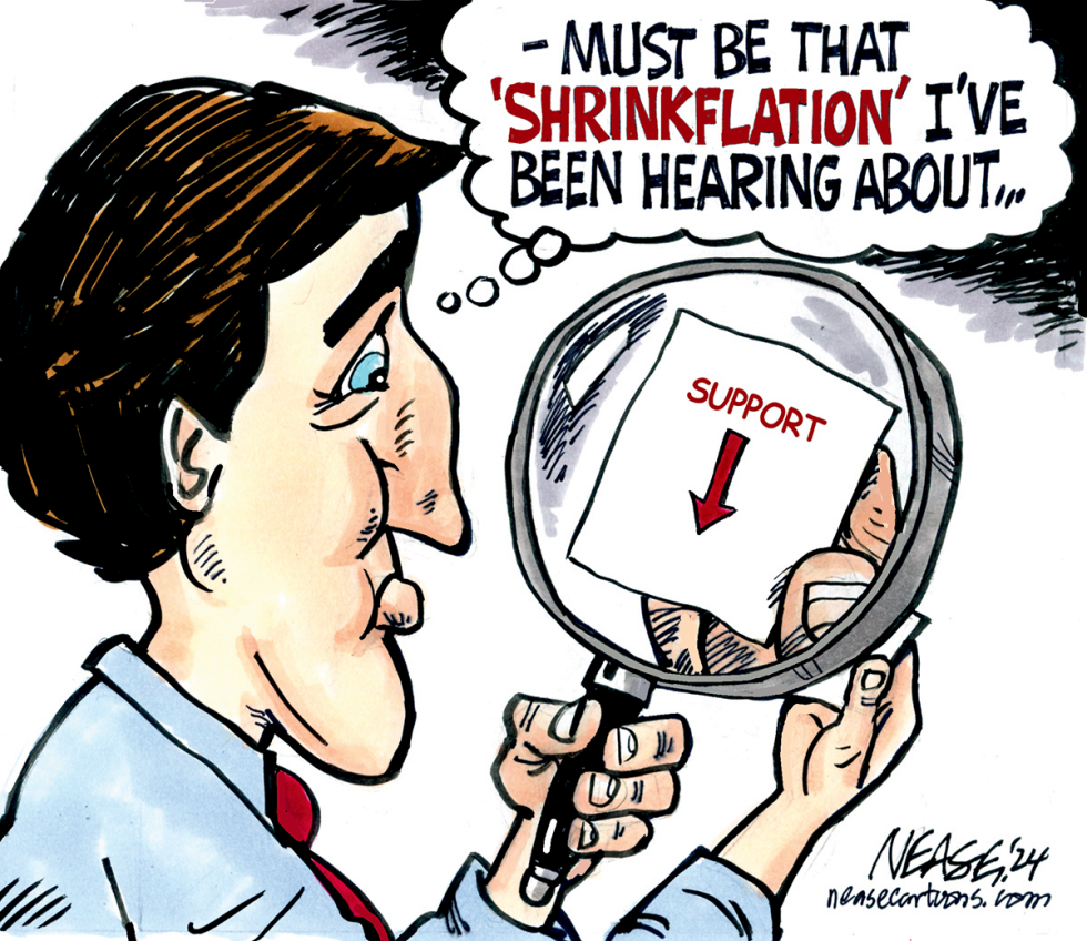 Shrinkflation
