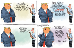 TRUMP STRATEGY by Rick McKee