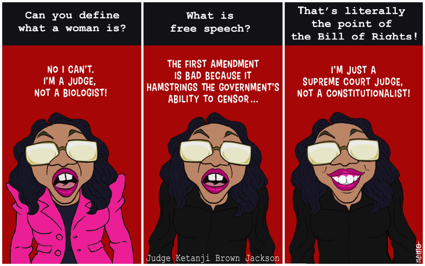 Harmstinging Free Speech