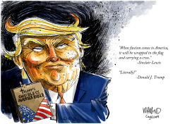 WHEN FASCISM COMES TO AMERICA by Dave Whamond