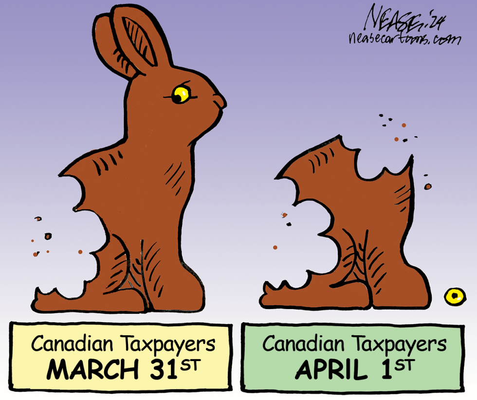 Tax Bunny