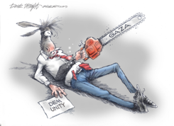 DEMOCRAT'S AND GAZA by Dick Wright