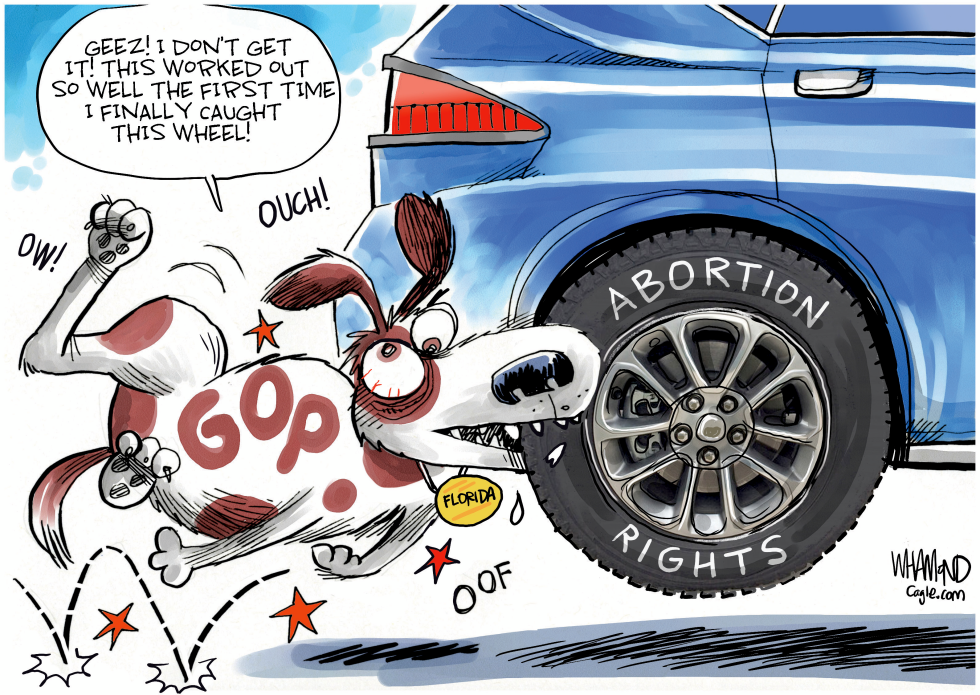Florida GOP Dogged by Abortion Rights Ruling in New Cartoon