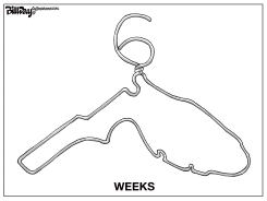 FLORIDA 6 WEEK ABORTION BAN by Bill Day