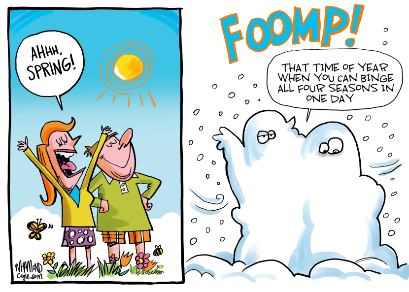 Spring binge