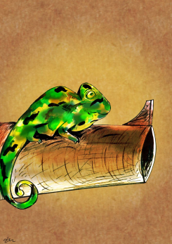 GECKO by Oguz Gurel