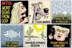 MORE SIGNS FROM GOD by Monte Wolverton