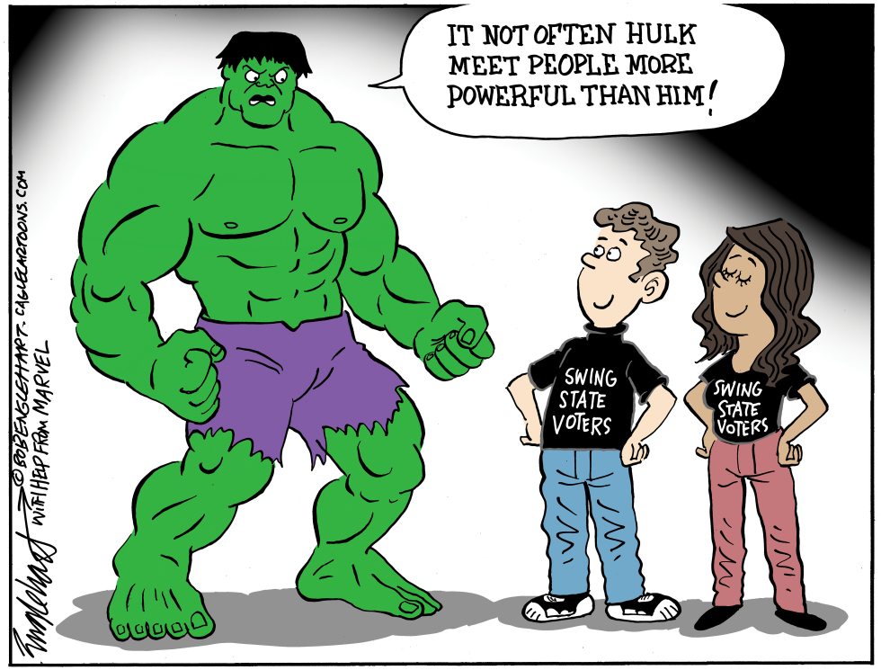 Swing State Voters