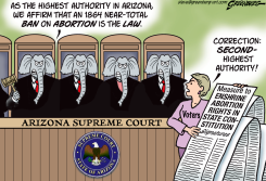 ARIZONA ABORTION BAN by Steve Greenberg