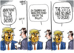 STATE'S RIGHTS V WOMEN'S RIGHTS by Dave Whamond