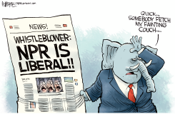 NPR IS LIBERAL by Rick McKee