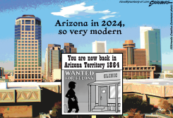 ARIZONA 2024-1864 by Steve Greenberg
